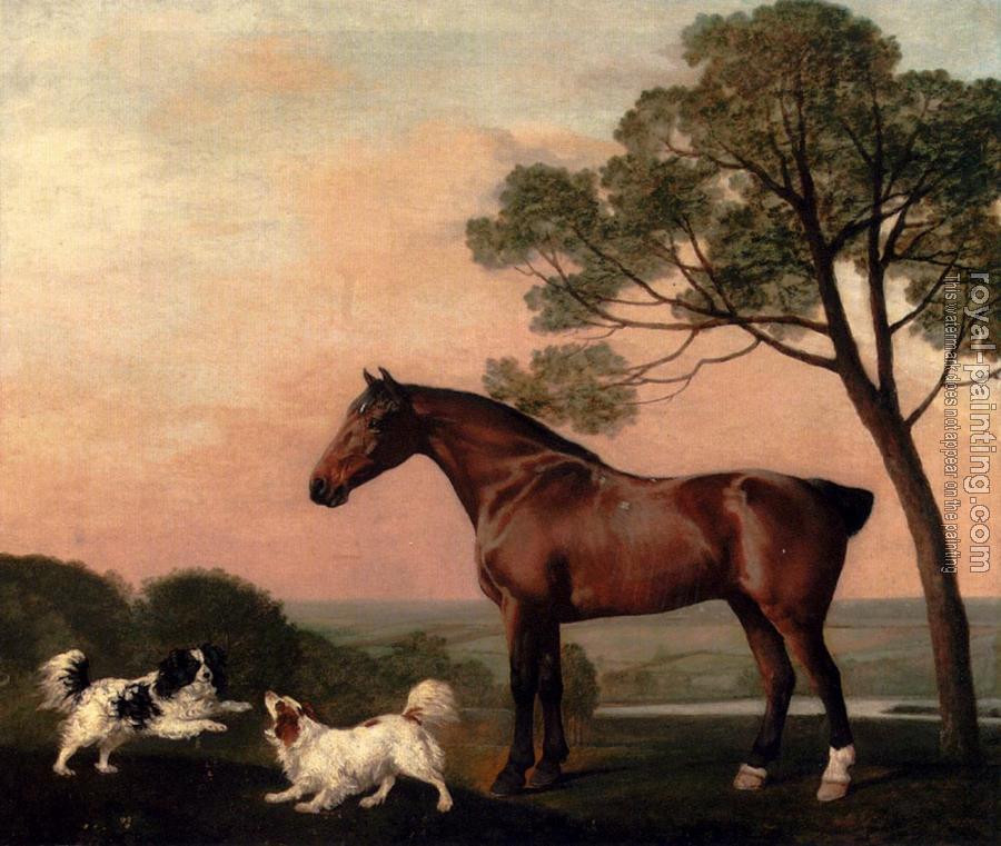 George Stubbs : A Bay Hunter With Two Spaniels